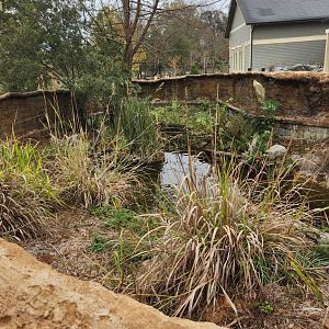 Oxbow Meadows ELC - Turtle pond exhibit