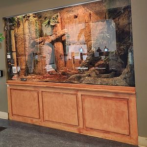 Oxbow Meadows ELC - Reticulated Python exhibit