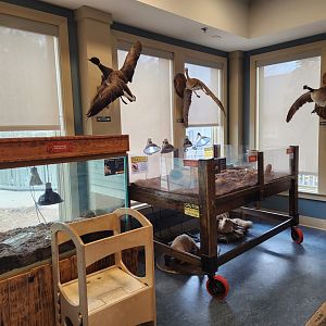 Oxbow Meadows ELC - Exhibits