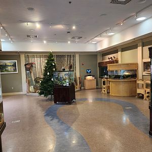 Oxbow Meadows ELC - Open exhibit area