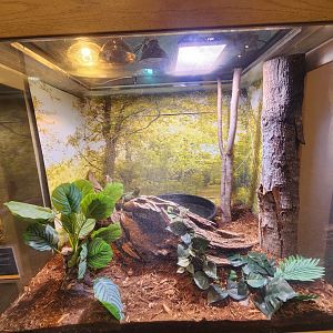 Oxbow Meadows ELC - Water Dragon exhibit