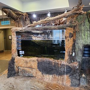 Oxbow Meadows ELC - Pond turtles exhibit