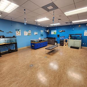 Oxbow Meadows ELC - Lab room