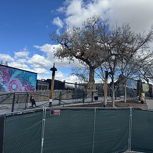 New Lorikeet walkthrough exhibit - side view