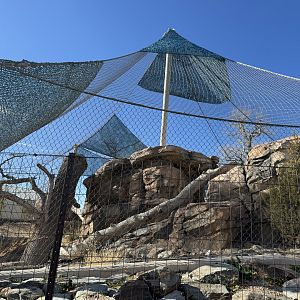 Snow leopard exhibit - left side of exhibit