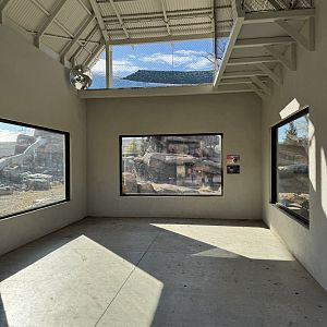 Snow Leopard exhibit first public viewing and signs