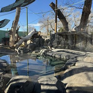 Rotating Habitat - Pool