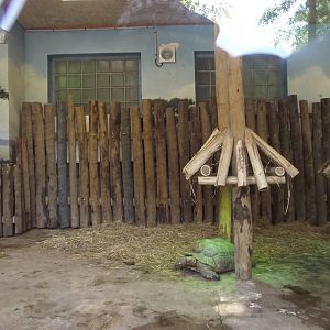 African Tortoises' night shelter - Zooparc de Beauval - 08/2022