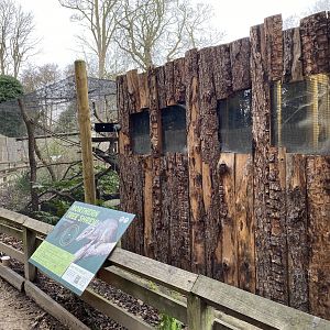 Drayton manor theme park zoo...Northern Tree Shrew enclosure