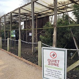 Drayton Manor Theme Park Zoo, Malaysian Black hornbill enclosure