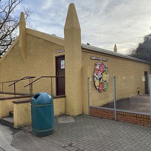 Drayton Manor theme park zoo, meerkat house