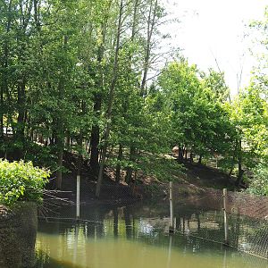 Part of the Western sitatunga and Marabou exhibit, seen from the lemur island, 2023-05-16