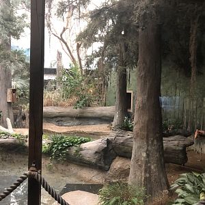 Swamp Indoor Flamingo Exhibit