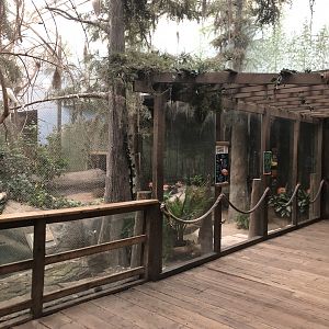 Swamp Indoor Flamingo Exhibit