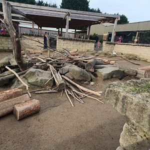 Cape Porcupine enclosure