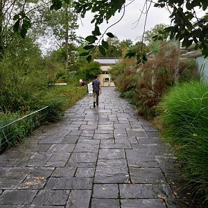Towards the vivarium
