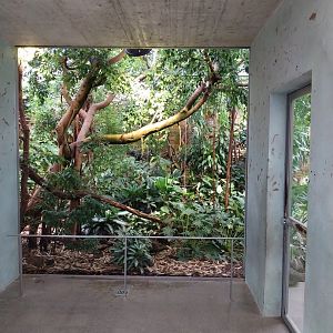Vivarium - Rainforest