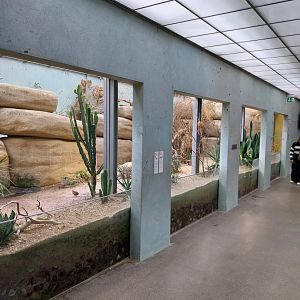 Vivarium - African savanna aviary