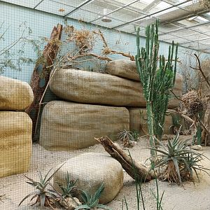 Vivarium - African savanna aviary