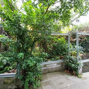 Vivarium - Pymgy marmoset and Australian snake-necked turtle enclosure