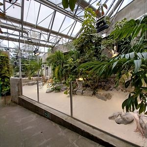 Vivarium - Caraibbean beach terrarium