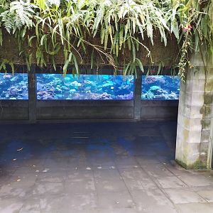 Vivarium - Tropical reef aquarium