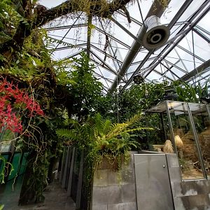 Vivarium - Aquarium corridor