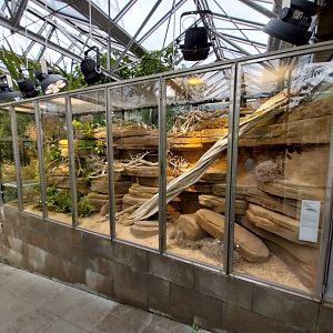 Vivarium - Kimberly rock monitor terrarium