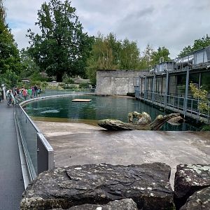 Seal enclosure