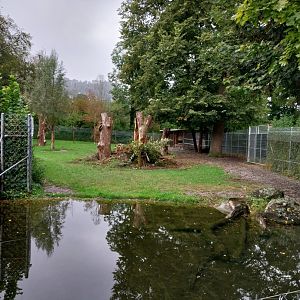 Eurasian moose enclosure