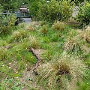 European ground squirrel enclosure