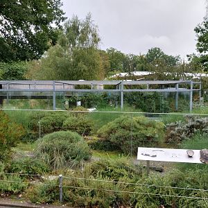 Native reptiles open air terrariums