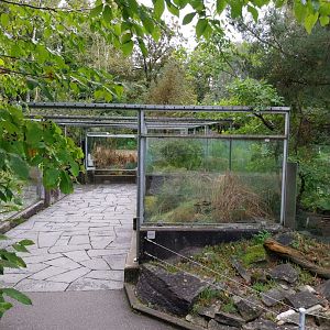 Native reptiles and amphibians open air terrariums