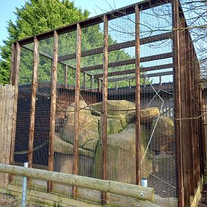 Skunk and Ringtail enclosure