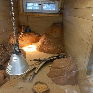 Spinifex Hopping Mice enclosure