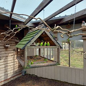 Outback Aviary