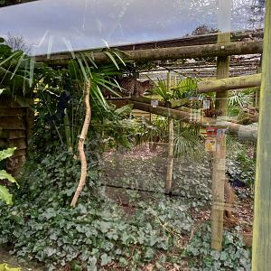 December 2023 - Ocelot enclosure