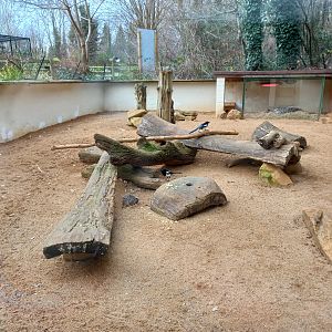 December 2023 - Meerkat enclosure