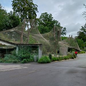 Persian leopard enclosure