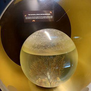 Enclosed biosphere - National Space Centre, Leicester