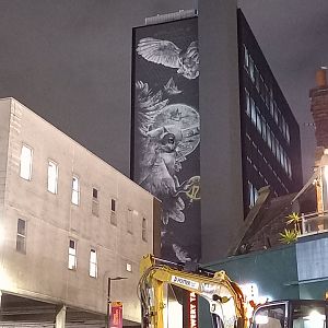 Owl mural - Leeds train station