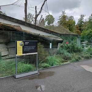 Persian leopard enclosure - Ottoman viper enclosure