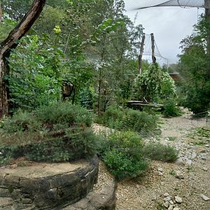 Persian leopard enclosure
