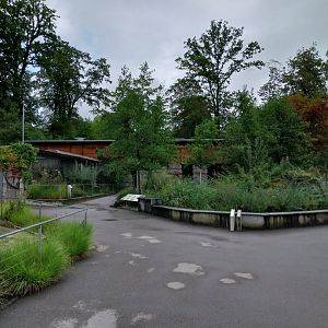 Towards the BärenHaus