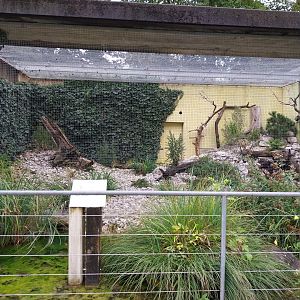 BärenHaus - Alpine rock partridge aviary