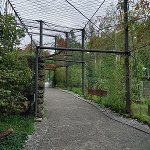 Owl aviaries