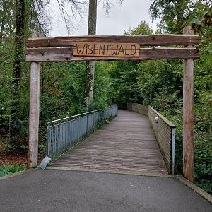 WisentenWald