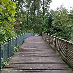 WisentenWald - Elevated walkway