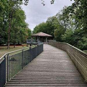 WisentenWald - Viewing point