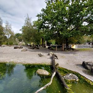 Greenland musk ox enclosure